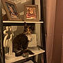 Azia participe au concours pour gagner de l'argent avec cette photo : animal, black_frame, calico_cat, cat, child_photo, cozy, curtain, cute, decor, frame, furniture, indoor, kitten, lamp, paper, pet, photo_frame, shelf, warm_lighting, white_shelf