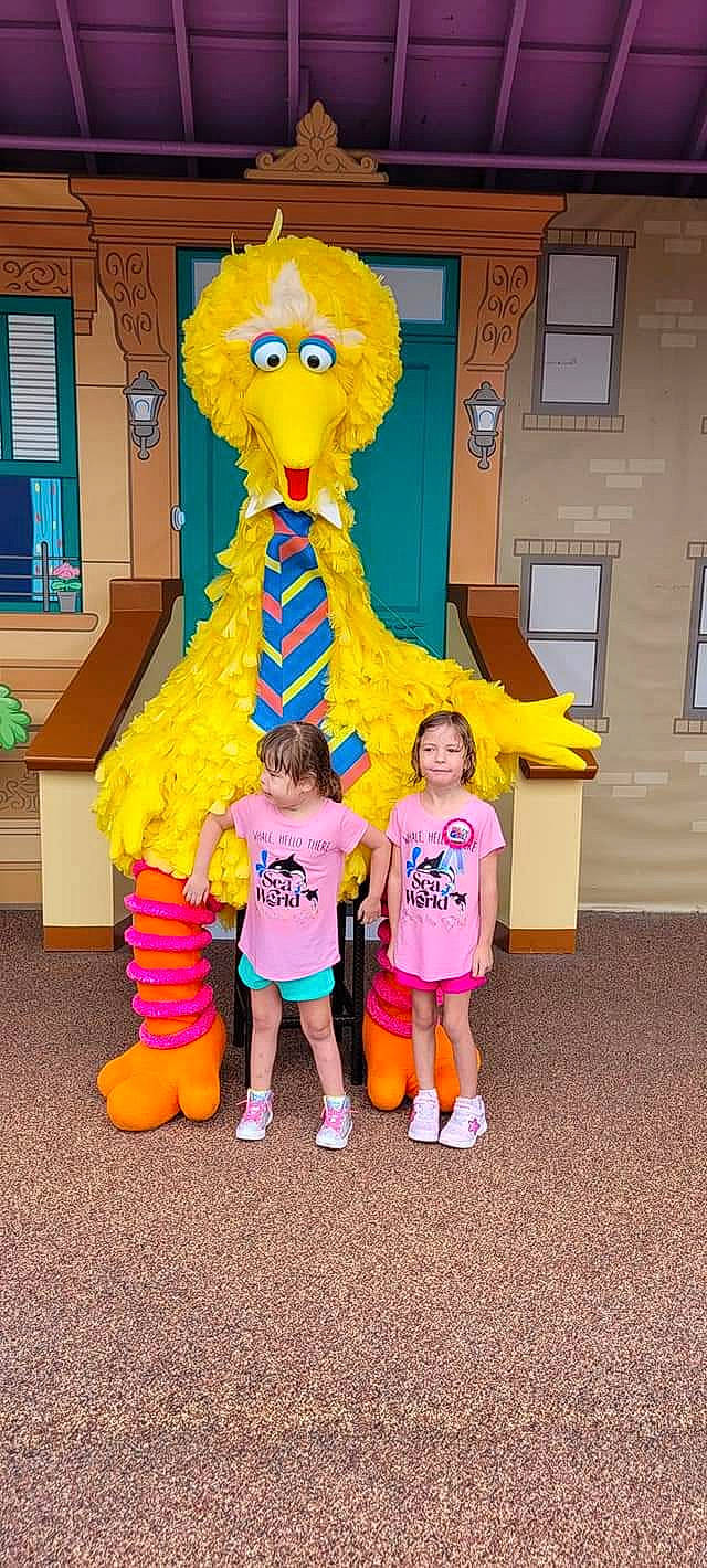 Sunny Mae joined the competition — help win amazing prizes! art, child, costume, event, eye, fun, happy, human_body, joy, leisure, mascot, orange, organ, party_supply, person, plant, recreation, shorts, toddler, tree