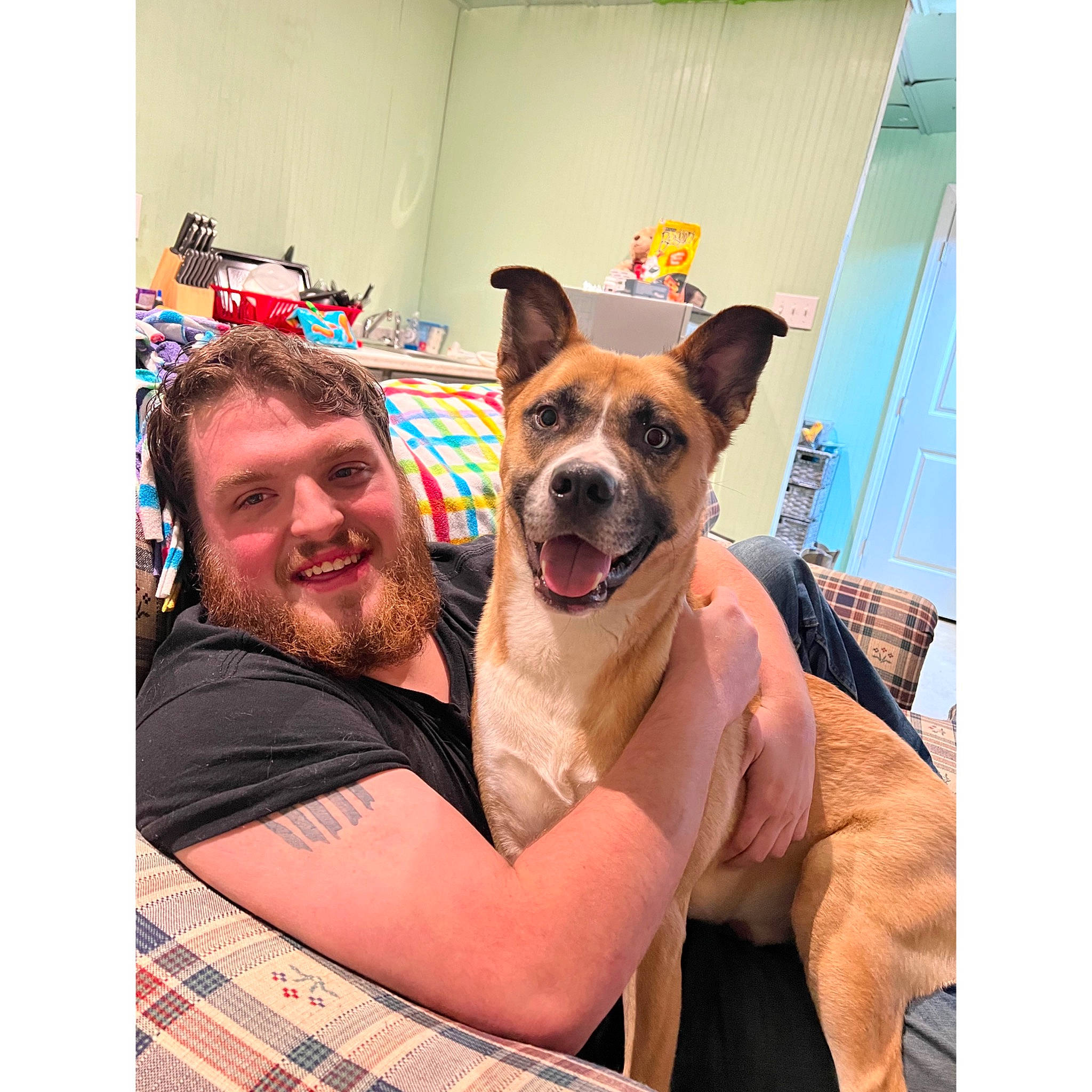 Bandit joined the competition — help win amazing prizes! beard, canidae, carnivore, comfort, companion_dog, dog, dog_breed, dog_supply, fawn, happy, pattern, paw, plaid, selfie, smile, snout, sporting_group, t_shirt, tartan, toy_dog