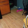 Mave is registered to the contest to win money with this photo: indoor, wood_floor, cabinet, chair, dog, black_dog, toy, slippers, pink_slippers, box, furniture, shadow, dark_corner, flooring, room, wall, household, pet, domestic, partial_view