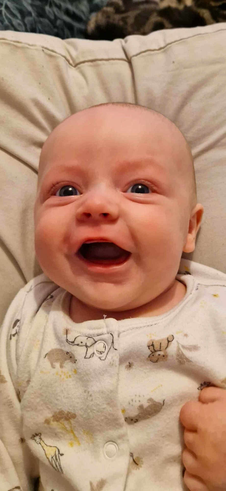 Arley-Bowe joined the competition — help win amazing prizes! baby, smiling, face, onesie, animal_print, blue_eyes, infant, child, cute, happy, lying_down, cushion, soft_fabric, bedtime, clothing, portrait, indoors, skin, hand, young_child