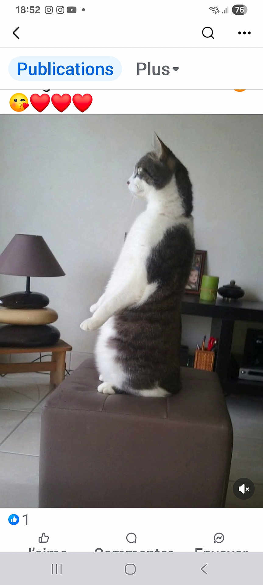 Lea a rejoint le concours — aidez-le/la à gagner de superbes lots ! cat, sitting, brown_ottoman, lamp, table, indoor, household, furniture, pet, animal, white_and_gray_cat, tile_floor, side_view, curious, domestic, mammal, feline, still, quiet, room