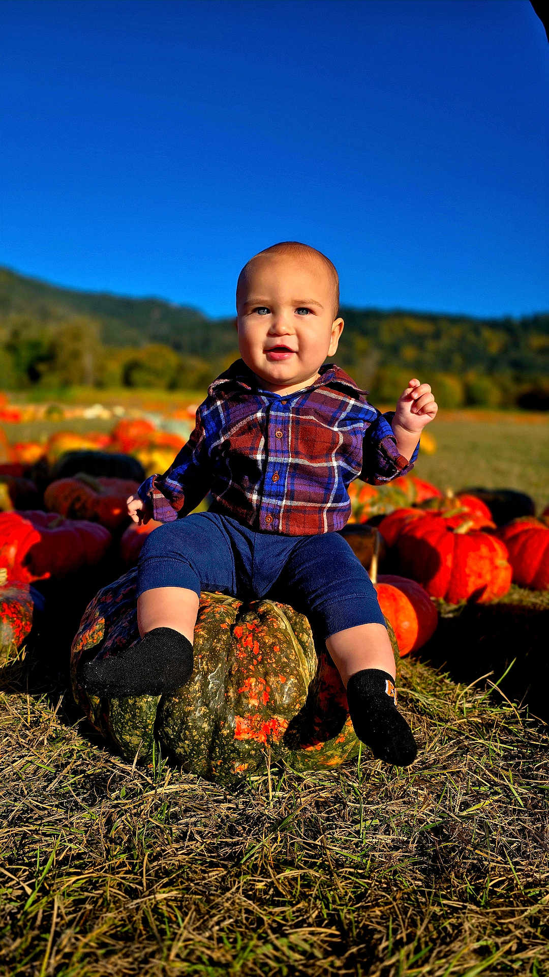 Karson is registered to the contest to win money with this photo: toddler, child, pumpkin, pumpkin_patch, plaid_shirt, blue_sky, grass, field, outdoor, autumn, nature, smiling, sitting, person, landscape, hill, daylight, fall, cute, baby