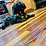 Maribel Santiago is registered to the contest to win money with this photo: dog, black_dog, bandana, wooden_floor, kitchen, cabinet, stove, appliance, flooring, pet, indoor, relaxed, lying_down, colorful, patterned_bandana, home, cozy, animal, fur, domestic