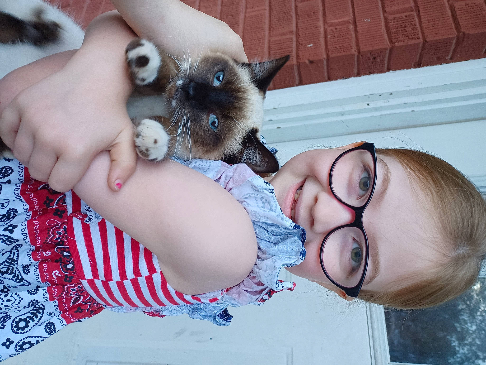 Sophia joined the competition — help win amazing prizes! balinese, black_hair, carnivore, chest, companion_dog, dog_breed, ear, eyelash, eyewear, fawn, felidae, fur, happy, joy, nose, pattern, person, skin, small_to_medium_sized_cats, thai