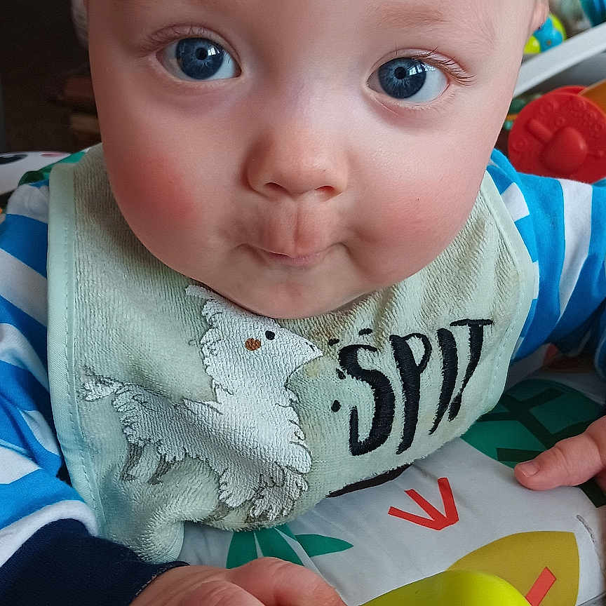 Dalton joined the competition — help win amazing prizes! baby, bodypart, couch, face, finger, furniture, hand, happy, head, mouth, newborn, person, photography, piggybank, portrait, shelf, smile, toy