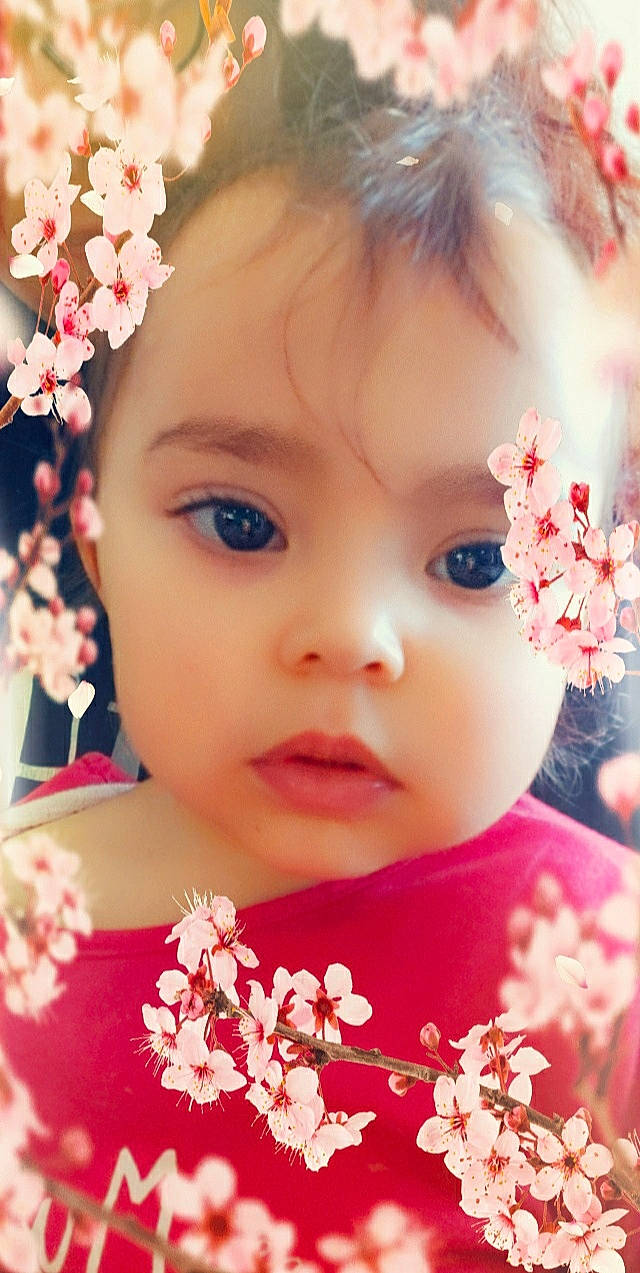 Lanah a rejoint le concours — aidez-le/la à gagner de superbes lots ! cheek, chin, eye, eyebrow, eyelash, face, facial_expression, flower, forehead, hair, hairstyle, head, human, lip, nose, person, petal, photograph, plant, skin