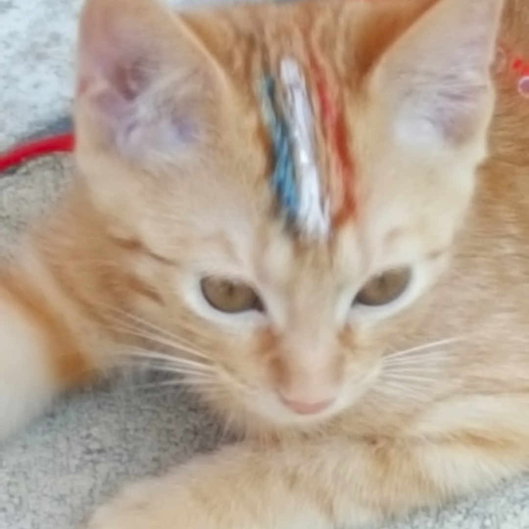 Moustick