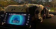 Duke joined the competition — help win amazing prizes!
