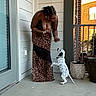woman, dog, puppy, leopard_print, dress, porch, potted_plants, residential_building, concrete_floor, playful, interaction, animal, pet, standing, curly_hair, bracelets, door, window, outdoor, daylight