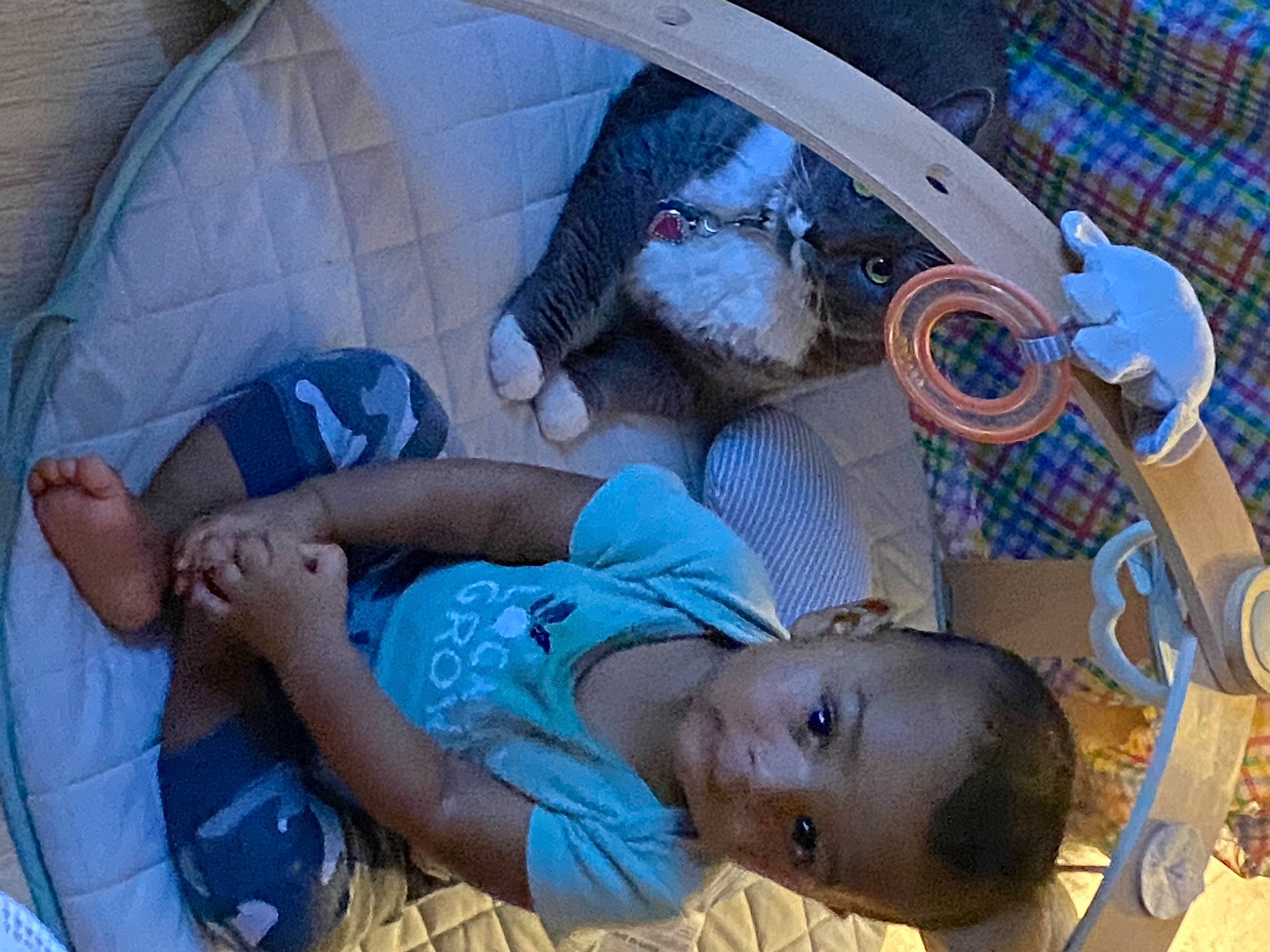 Judah is registered to the contest to win money with this photo: auto_part, baby, baby_products, blue, car_seat, child, comfort, electric_blue, family_car, fun, hat, leisure, mouth, pattern, people, person, textile, toddler, trunk, vacation