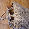 Hélios a rejoint le concours — aidez-le/la à gagner de superbes lots ! animal, bag, cat, closeup, cozy, curious, domestic, ears, fabric, flooring, hidden, indoor, leopard_print, orange_cat, peeking, pet, playful, texture, tote_bag, wood_floor