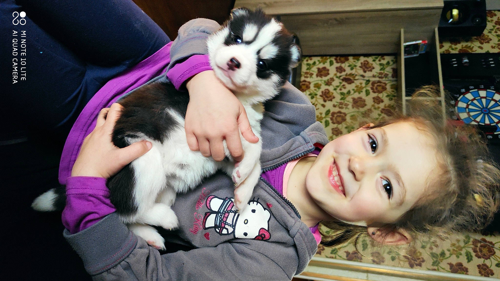 Evana a rejoint le concours — aidez-le/la à gagner de superbes lots ! baby, canidae, carnivore, child, comfort, companion_dog, dog, dog_breed, fawn, fun, fur, happy, joy, mammal, person, pink, smile, snapshot, sporting_group, toddler