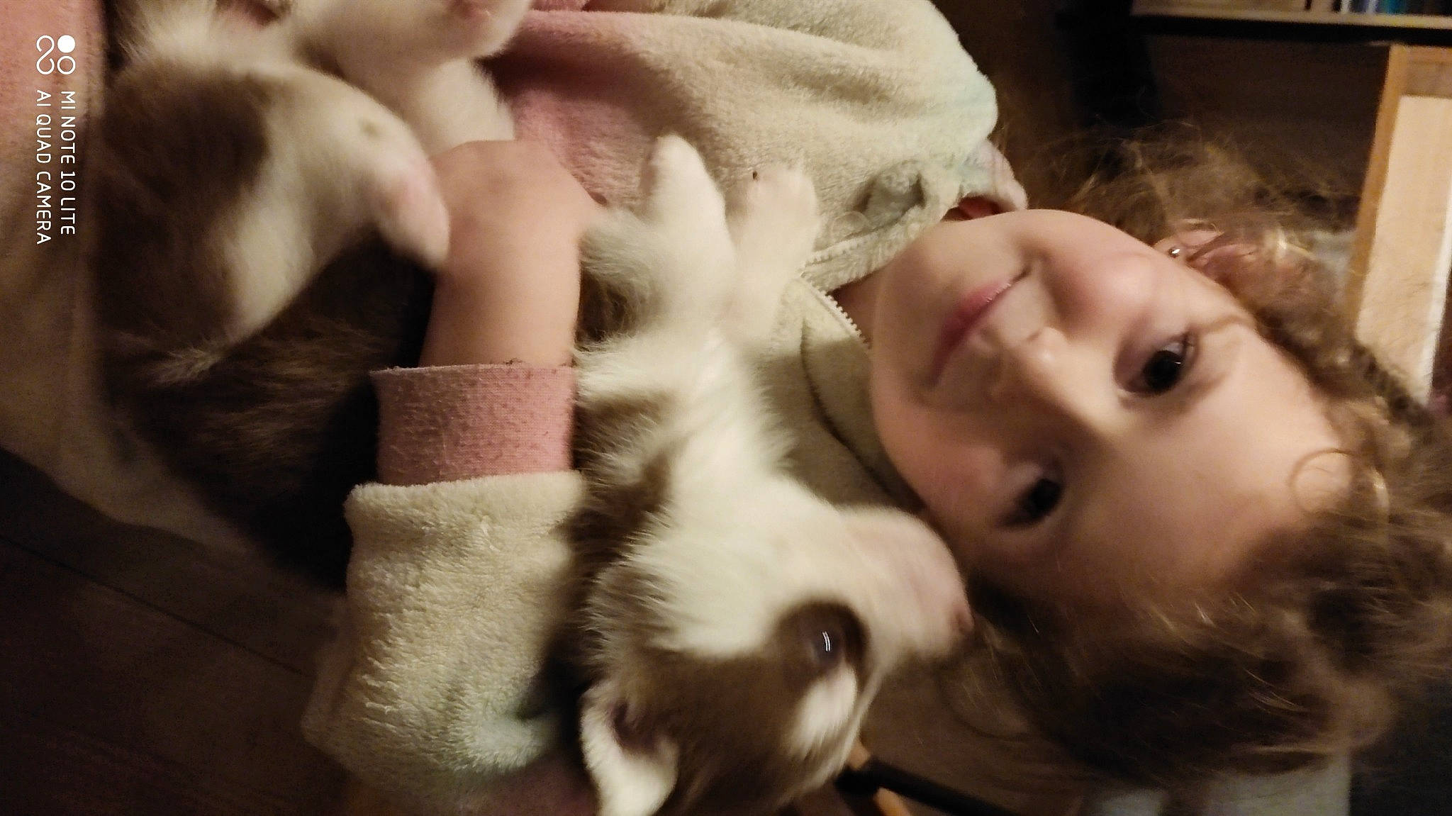 Evana a rejoint le concours — aidez-le/la à gagner de superbes lots ! carnivore, comfort, companion_dog, dog_breed, ear, eye, eyebrow, eyelash, fawn, felidae, gesture, happy, human_body, iris, joy, lip, long_hair, nose, person, skin