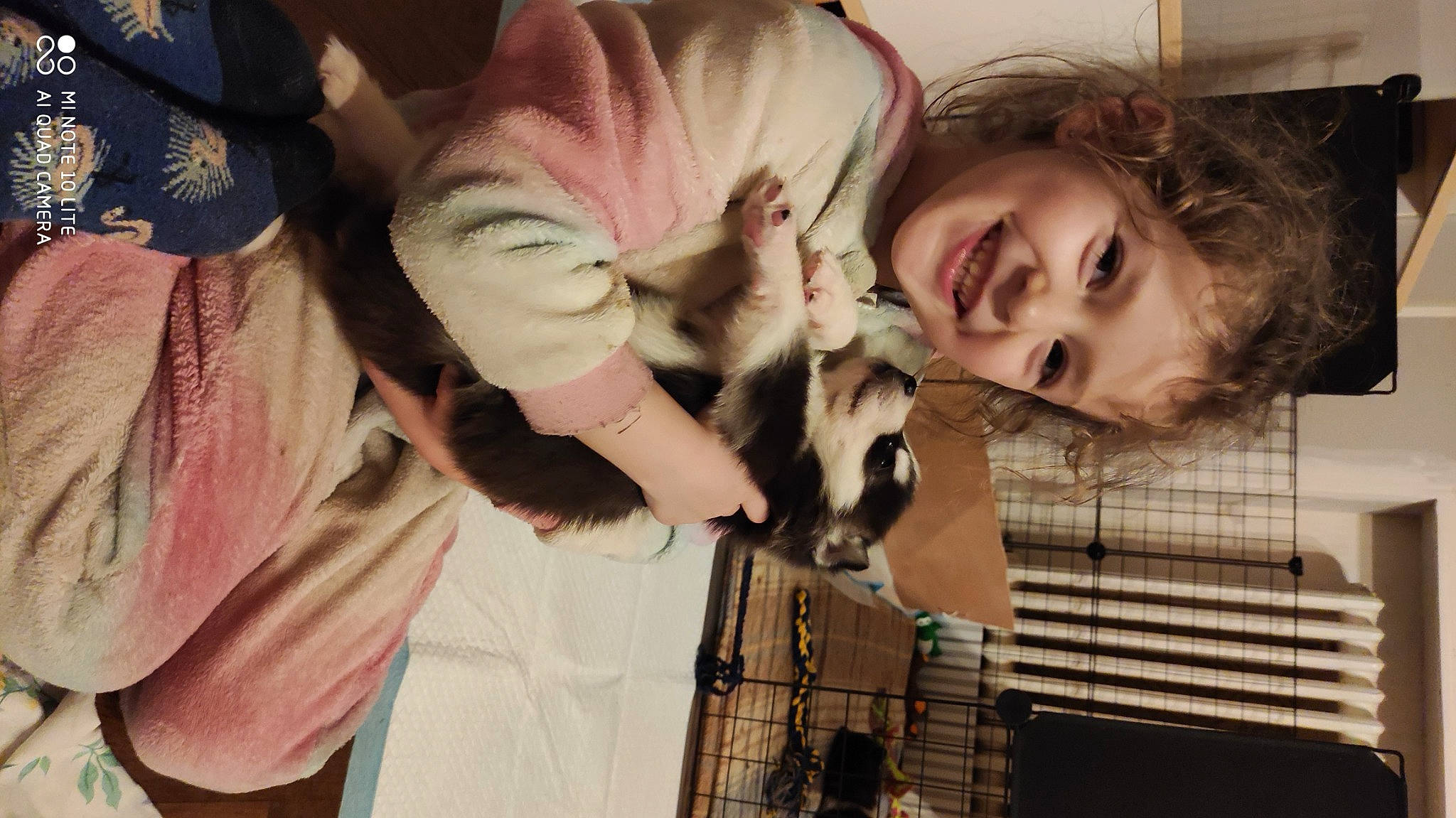 Evana participe au concours pour gagner de l'argent avec cette photo : canidae, carnivore, cat, child, companion_dog, dog_breed, event, fawn, felidae, fun, fur, gesture, happy, joy, long_hair, person, skin, small_to_medium_sized_cats, smile, textile