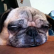 Allie is registered to the contest to win money with this photo:
