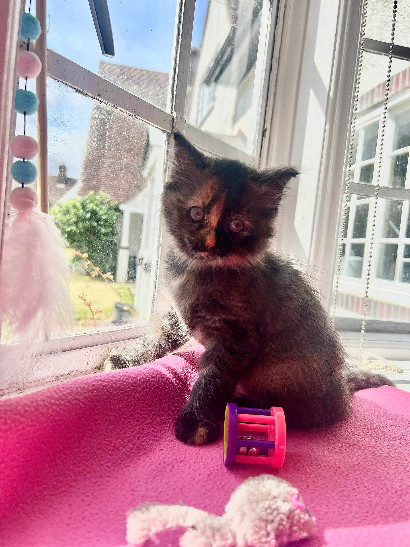 Coco