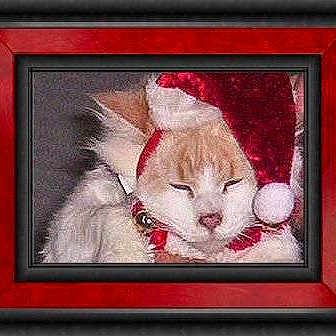 Whiteman joined the competition — help win amazing prizes!