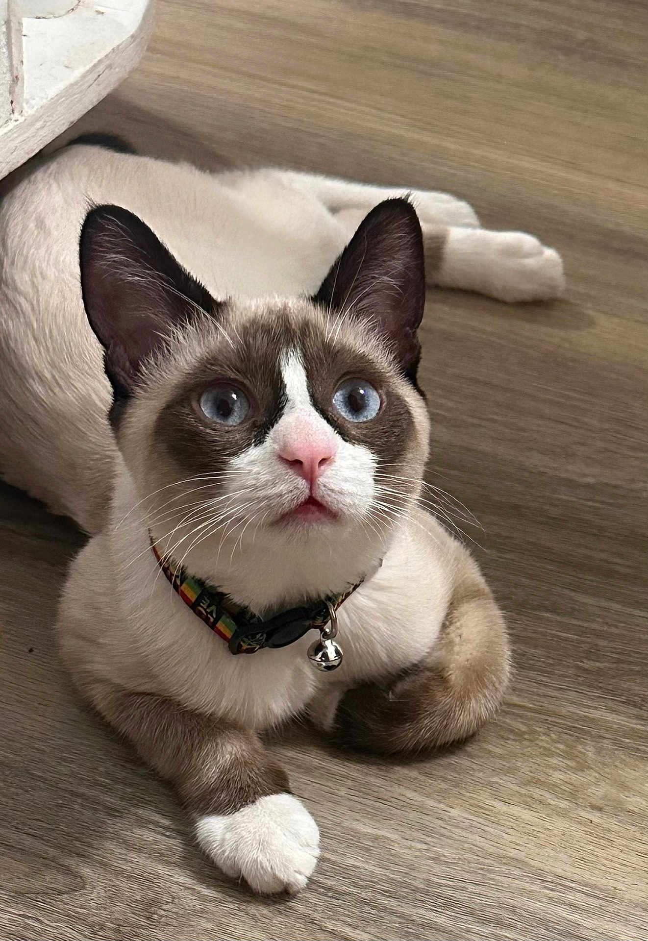 Mischief