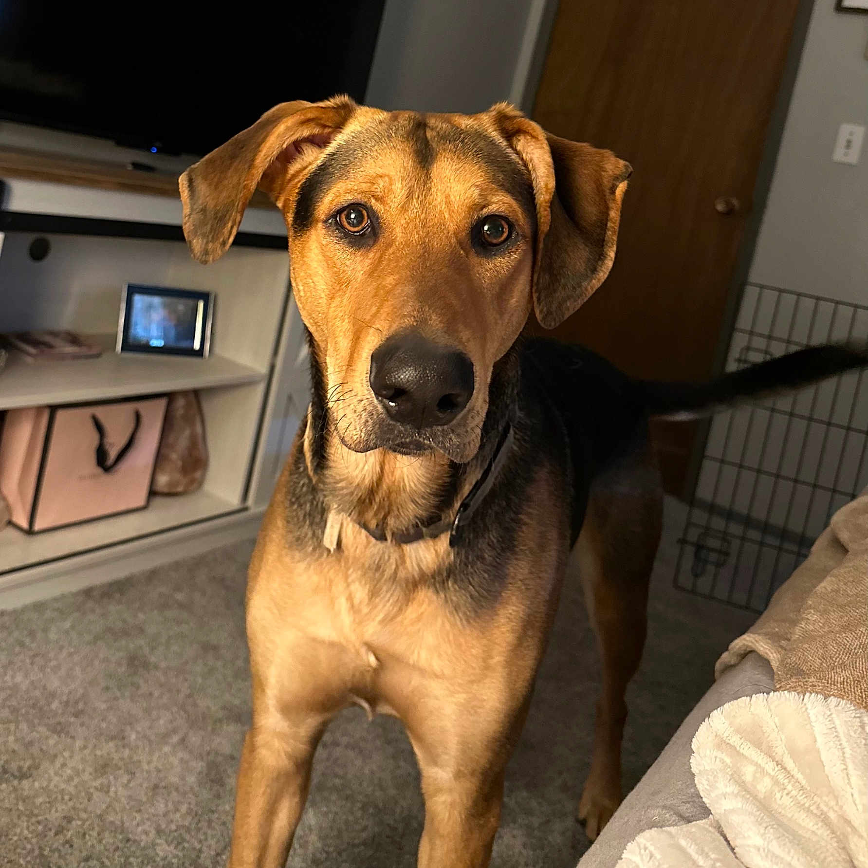 Charlie