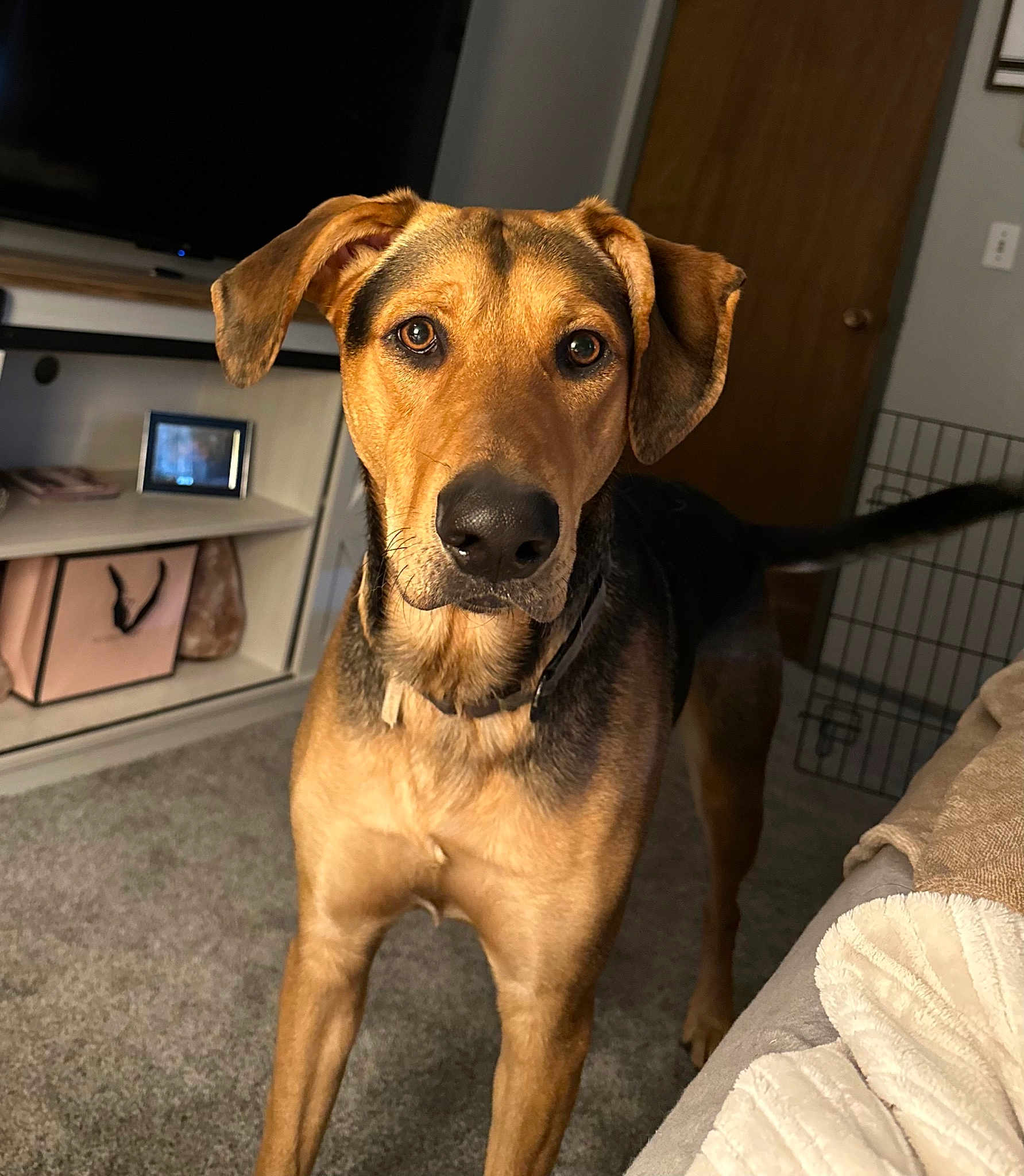 Charlie