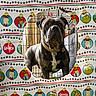 Clipz joined the competition — help win amazing prizes! dog, cage, wrapping_paper, hole, festive, grinch, holiday, pattern, colorful, serious_expression, indoors, curious, pet, collar, brown_dog, white_chest_marking, vertical_bars, window, decor, animal