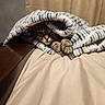 cat, tabby, blanket, paws, bed, cozy, indoor, feline, fur, resting, curled, soft, warm, comfort, animal, pet, relaxed, cute, striped, sleepy