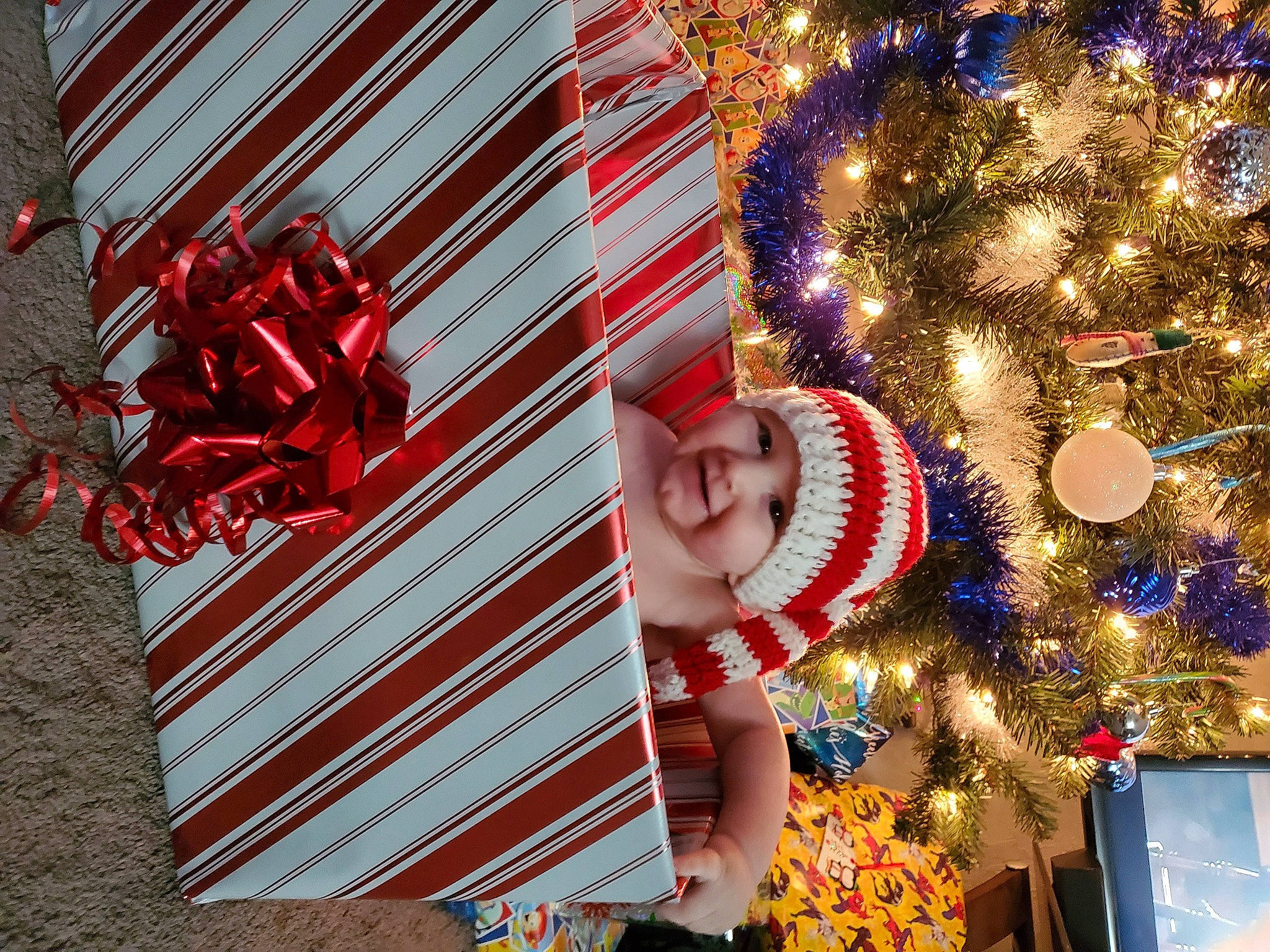 Kody joined the competition — help win amazing prizes! carmine, christmas, christmas_decoration, christmas_eve, christmas_lights, christmas_ornament, christmas_tree, conifer, costume_hat, display_device, event, festival, fir, headwear, holiday, holiday_ornament, interior_design, joy, ornament, paper