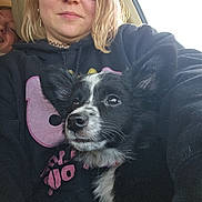 Shuna joined the competition — help win amazing prizes! person, dog, puppy, black_and_white_dog, hoodie, sunglasses, car_interior, seat, window, smiling, face, pet, cute, ears, close_up, casual, young_adult, portrait, indoor, human