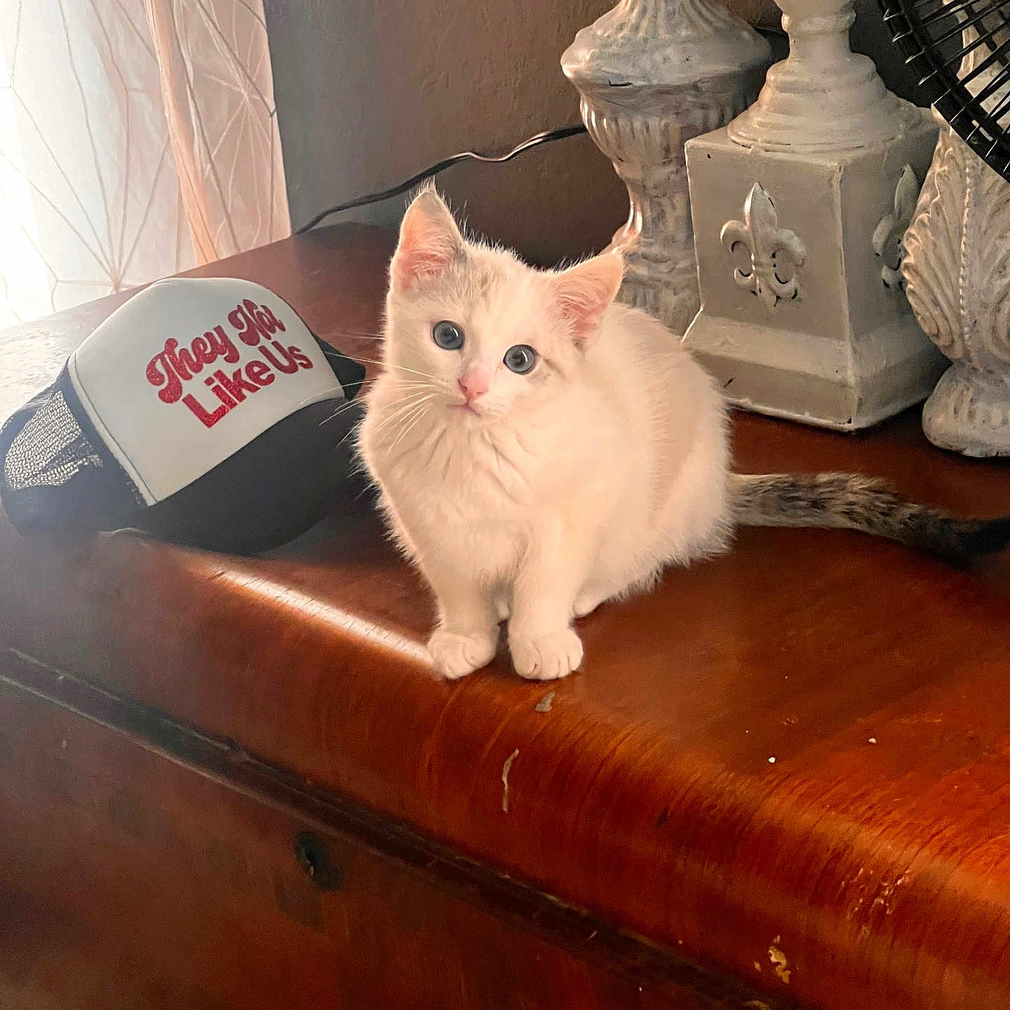 Snowball