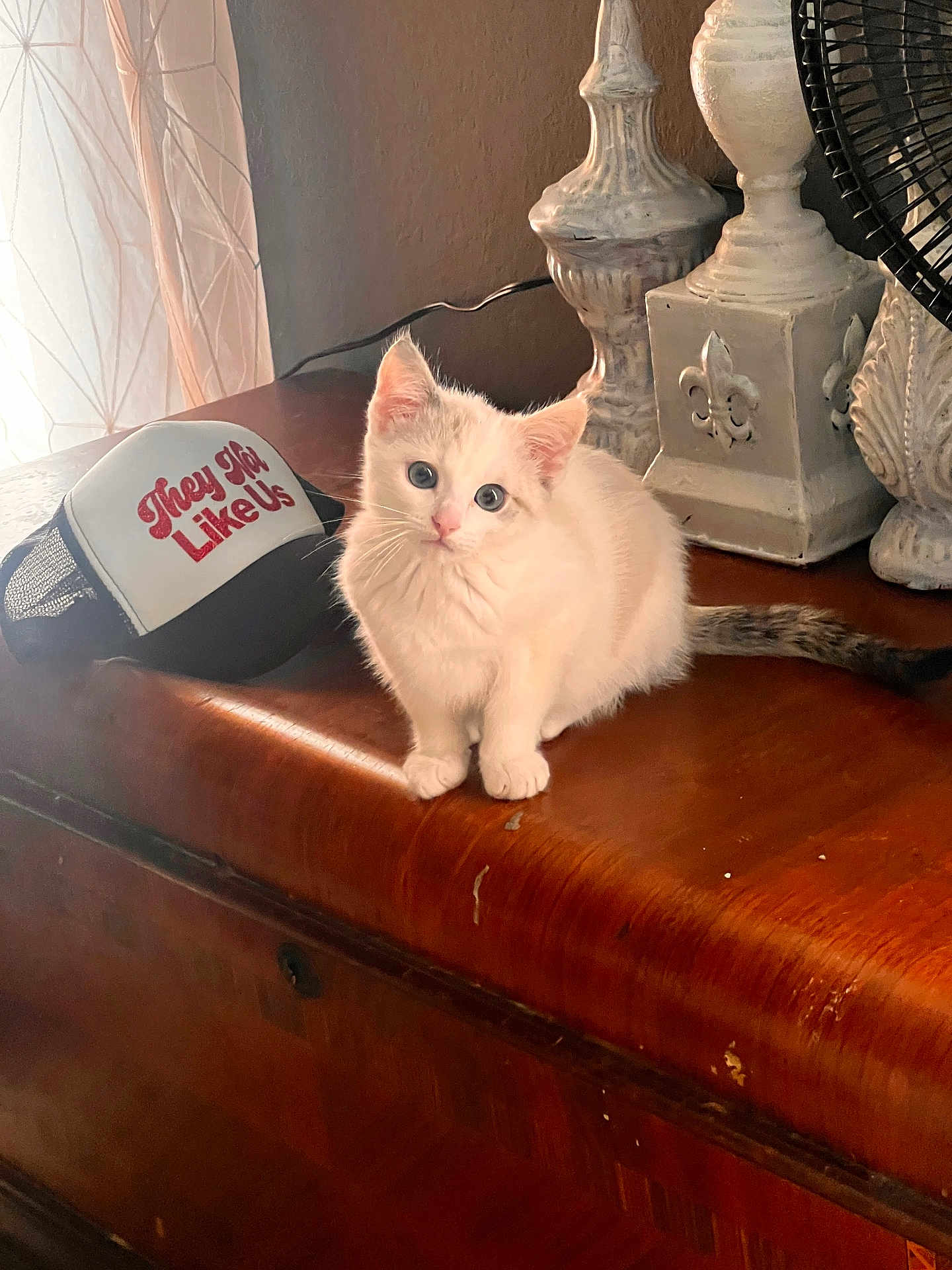 Snowball