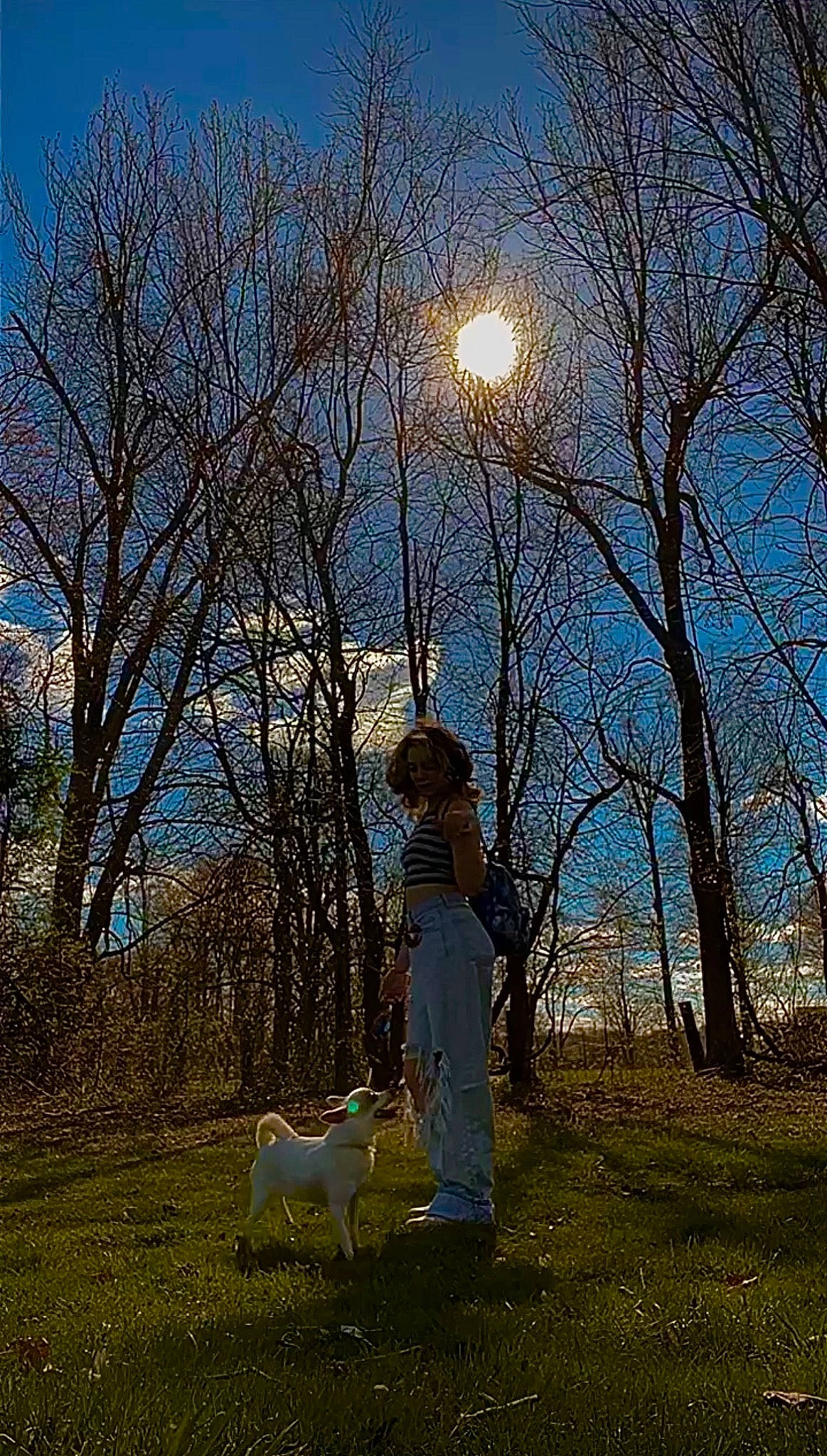 Lola joined the competition — help win amazing prizes! branch, carnivore, companion_dog, dog, dog_breed, fawn, flash_photography, grass, happy, meadow, morning, natural_landscape, people_in_nature, plant, sky, street_light, sunlight, tree, trunk, twig