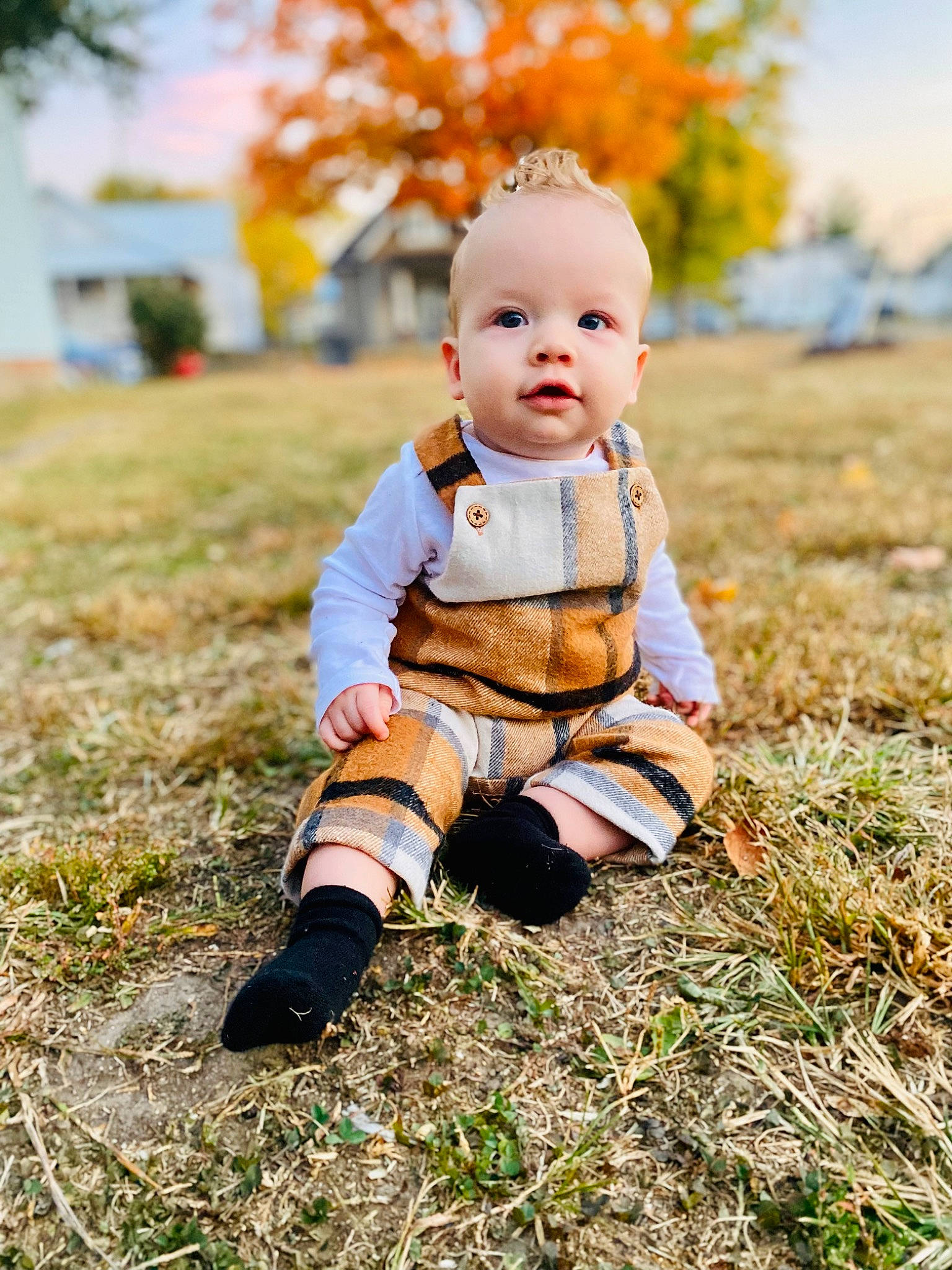 Coleson is registered to the contest to win money with this photo: baby, baby_toddler_clothing, child, eye, face, flash_photography, grass, happy, human_leg, leg, orange, people_in_nature, person, plant, sky, soil, sunlight, toddler, toy, tree