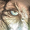 Olivier M. S.