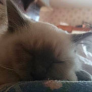 Lewis participe au concours pour gagner de l'argent avec cette photo :