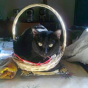 DENVER participe au concours pour gagner de l'argent avec cette photo :