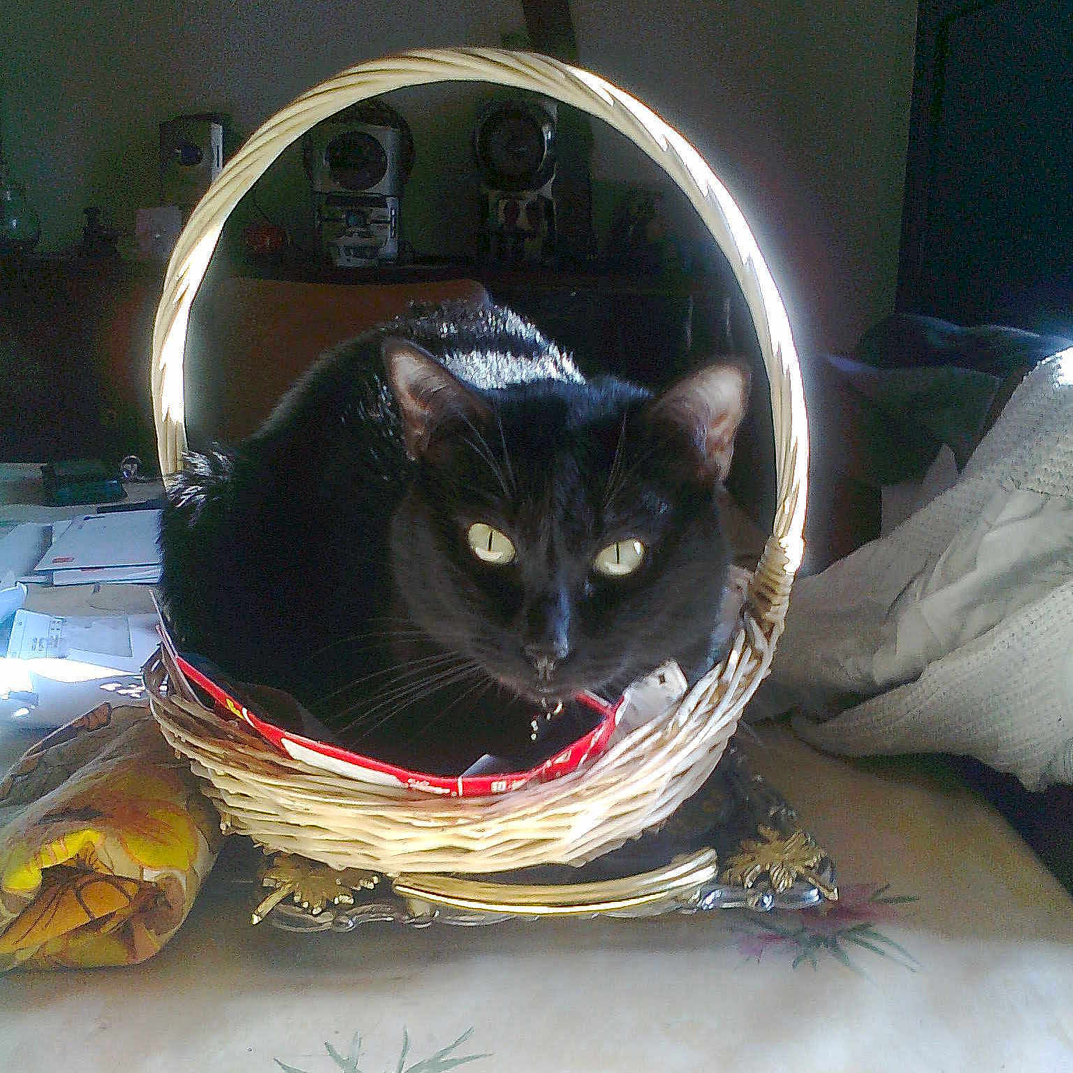 DENVER participe au concours pour gagner de l'argent avec cette photo :