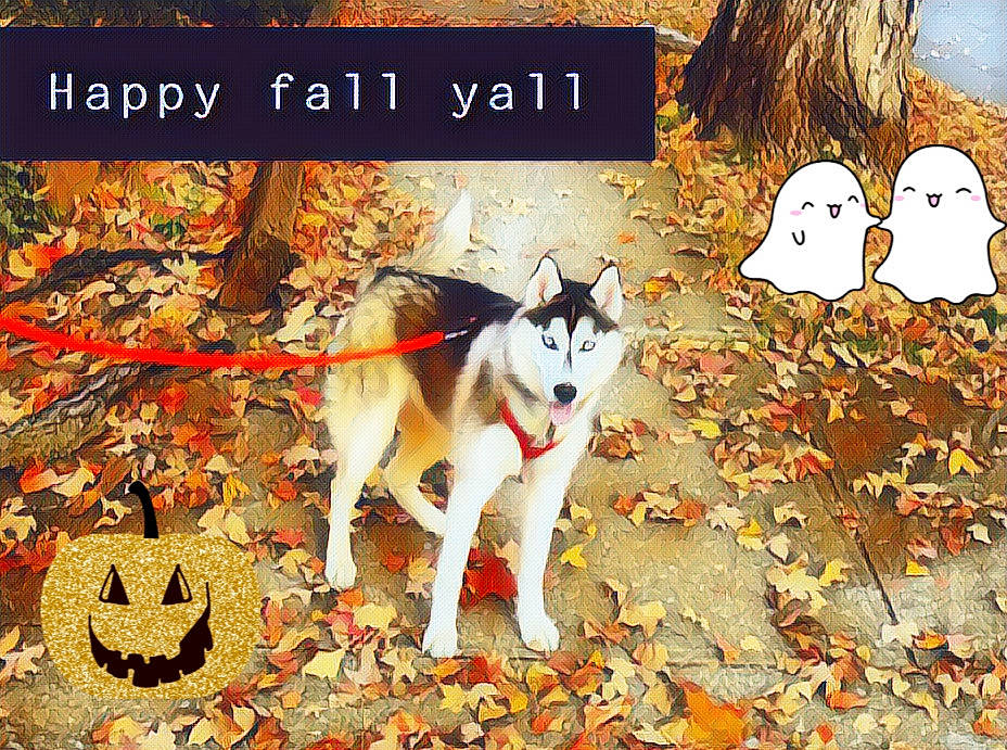 Skye joined the competition — help win amazing prizes! adaptation, alaskan_malamute, ancient_dog_breeds, art, autumn, canidae, canis, carnivore, dog, dog_breed, east_siberian_laika, illustration, native_american_indian_dog, northern_inuit_dog, rare_breed_dog, sakhalin_husky, seppala_siberian_sleddog, siberian_husky, sled_dog, working_dog