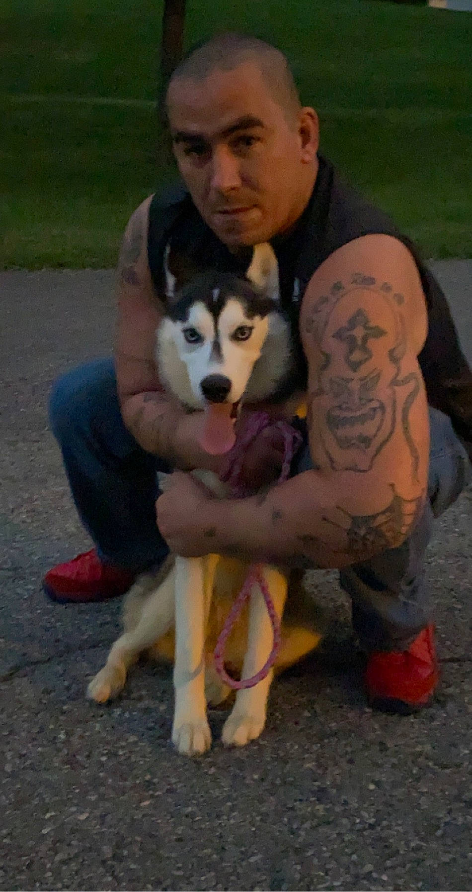 Skye is registered to the contest to win money with this photo: alaskan_klee_kai, alaskan_malamute, canidae, carnivore, companion_dog, dog, dog_breed, mammal, miniature_siberian_husky, muscle, native_american_indian_dog, northern_inuit_dog, rare_breed_dog, sakhalin_husky, shikoku, siberian_husky, sled_dog, vertebrate, wolfdog, working_dog