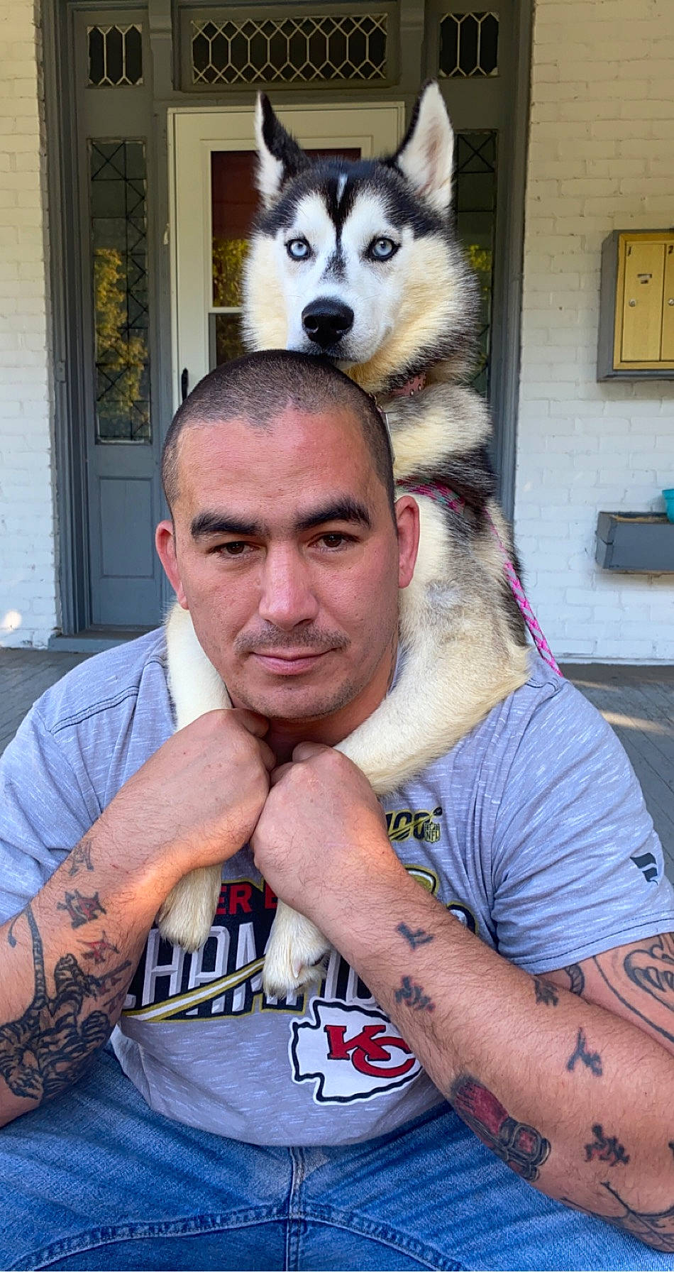 Skye is registered to the contest to win money with this photo: alaskan_klee_kai, alaskan_malamute, canadian_eskimo_dog, canidae, carnivore, companion_dog, czechoslovakian_wolfdog, dog, dog_breed, fur, mammal, miniature_siberian_husky, northern_inuit_dog, rare_breed_dog, seppala_siberian_sleddog, siberian_husky, sled_dog, tamaskan_dog, tattoo, wolfdog