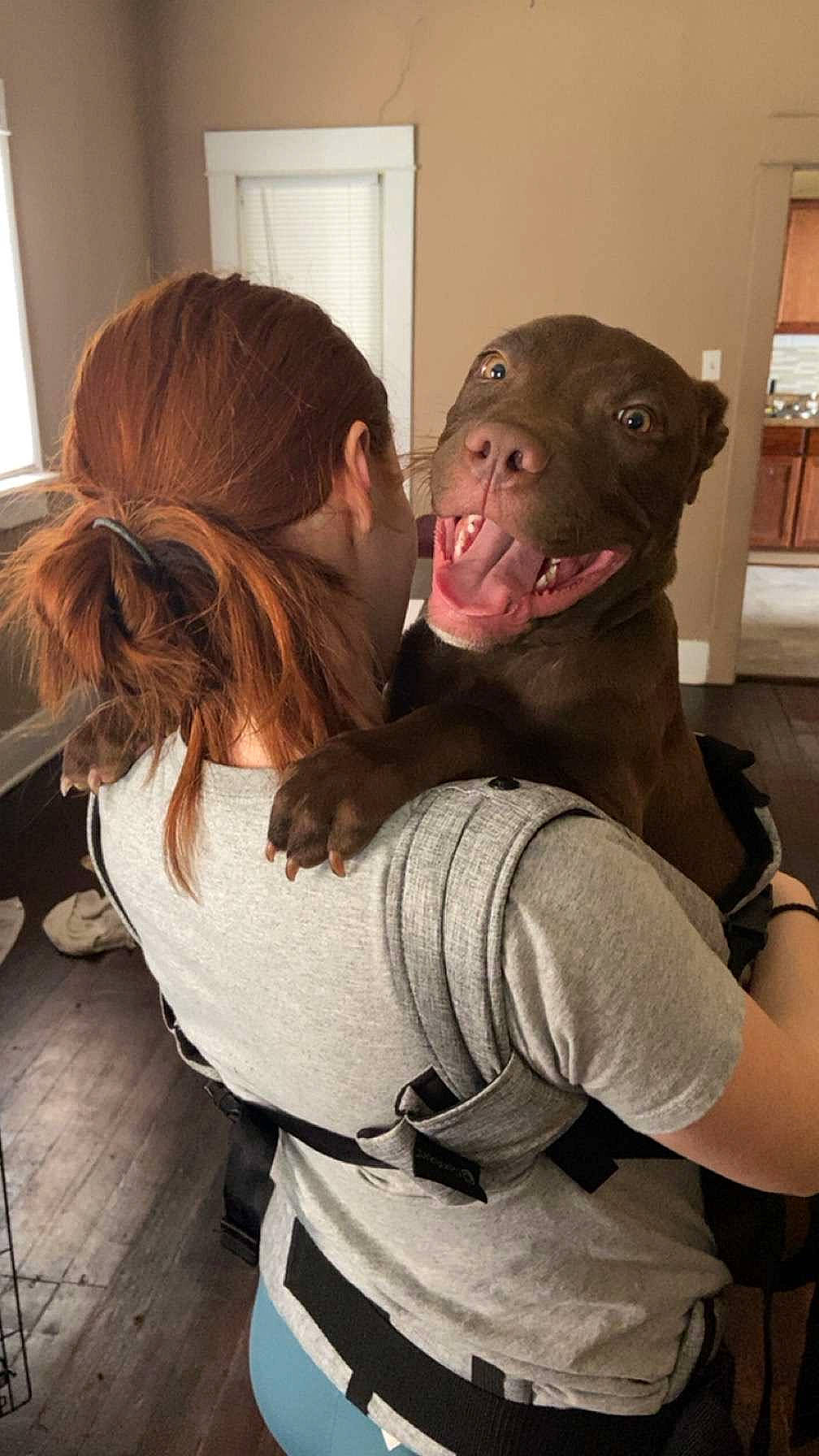 Prince is registered to the contest to win money with this photo: canidae, child, comfort, companion_dog, costume, dog_breed, fictional_character, flesh, fun, fur, gesture, happy, hug, interaction, love, room, shoulder, sitting, t_shirt, window