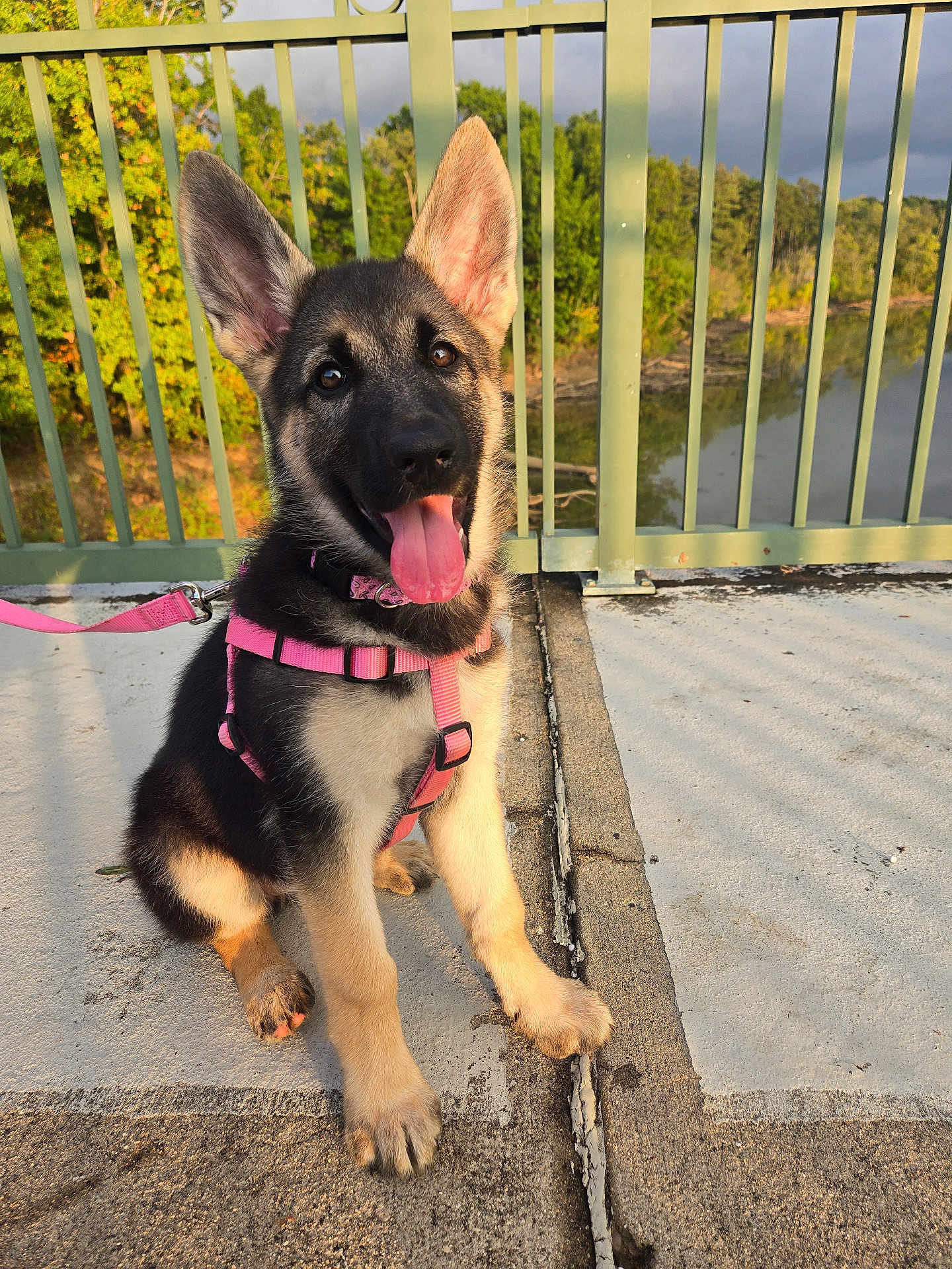 Nala