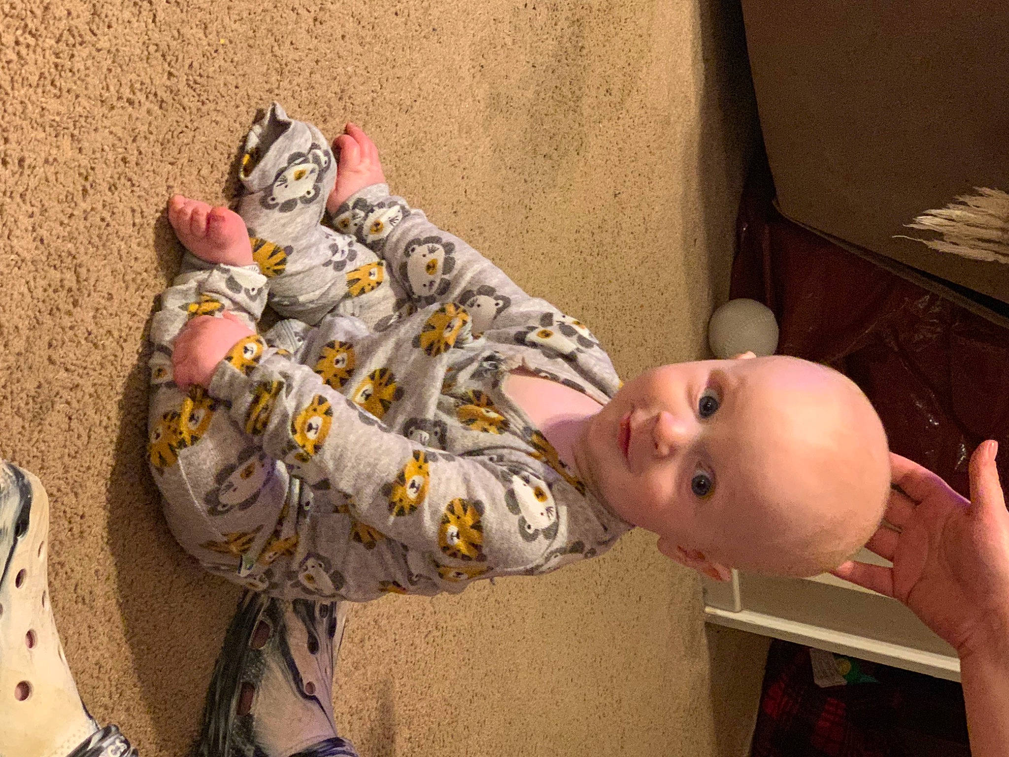 Gunnar is registered to the contest to win money with this photo: baby, carmine, child, comfort, foot, fun, happy, head, human_body, human_leg, joint, mammal, mouth, person, skin, smile, stuffed_toy, thigh, toddler, toy
