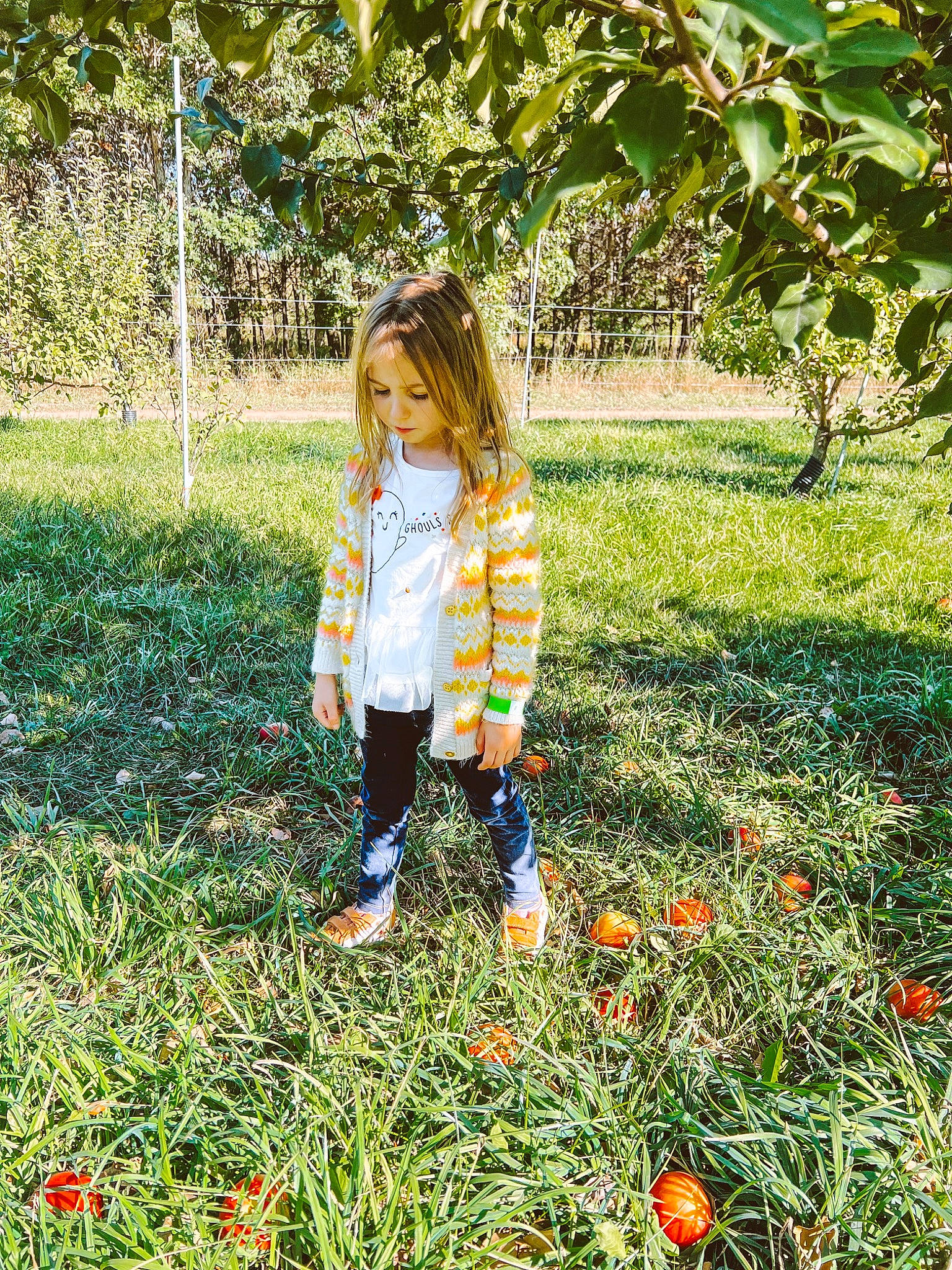 Stella joined the competition — help win amazing prizes! ball, child, fun, garden, grass, grass_family, grassland, happy, lawn, leisure, meadow, pattern, people_in_nature, person, petal, plant, playing_with_kids, recreation, tints_and_shades, toddler