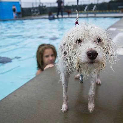 Lucky is registered to the contest to win money with this photo: