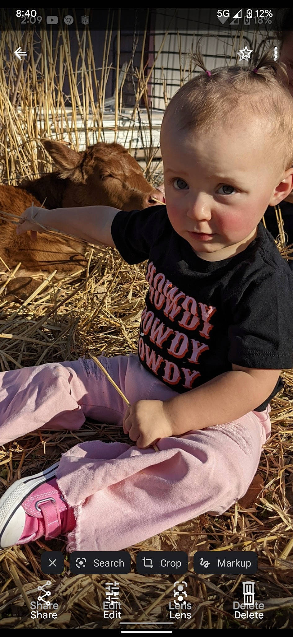 Kristian joined the competition — help win amazing prizes! baby, baby_toddler_clothing, bag, child, fun, fur, grass, happy, landscape, luggage_and_bags, mammal, pattern, person, play, sitting, soil, sunglasses, t_shirt, toddler, tree