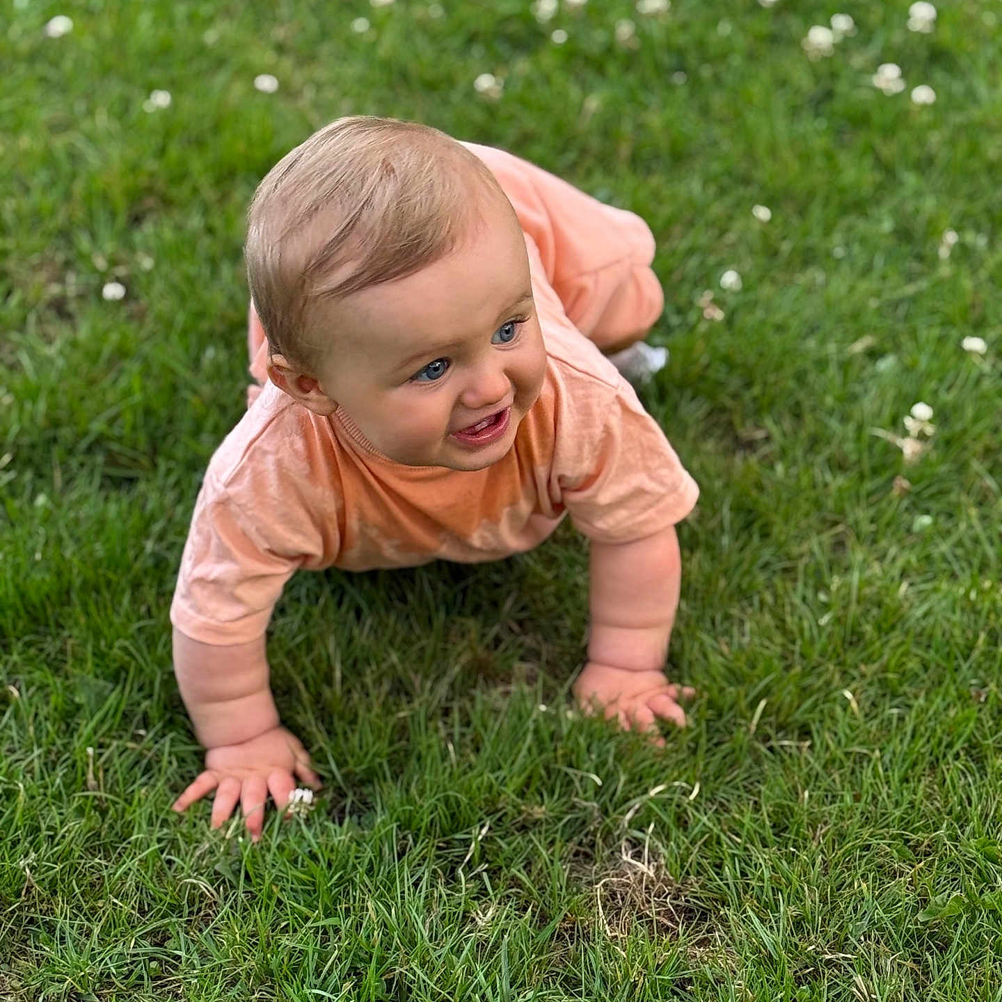 Fabio a rejoint le concours — aidez-le/la à gagner de superbes lots ! baby, baby_hands, blue_eyes, cheeks, child, crawling, cute, grass, greenery, happy, infant, nature, outdoor, peach_outfit, playful, small_flowers, smiling, sunlight, toddler, young_child