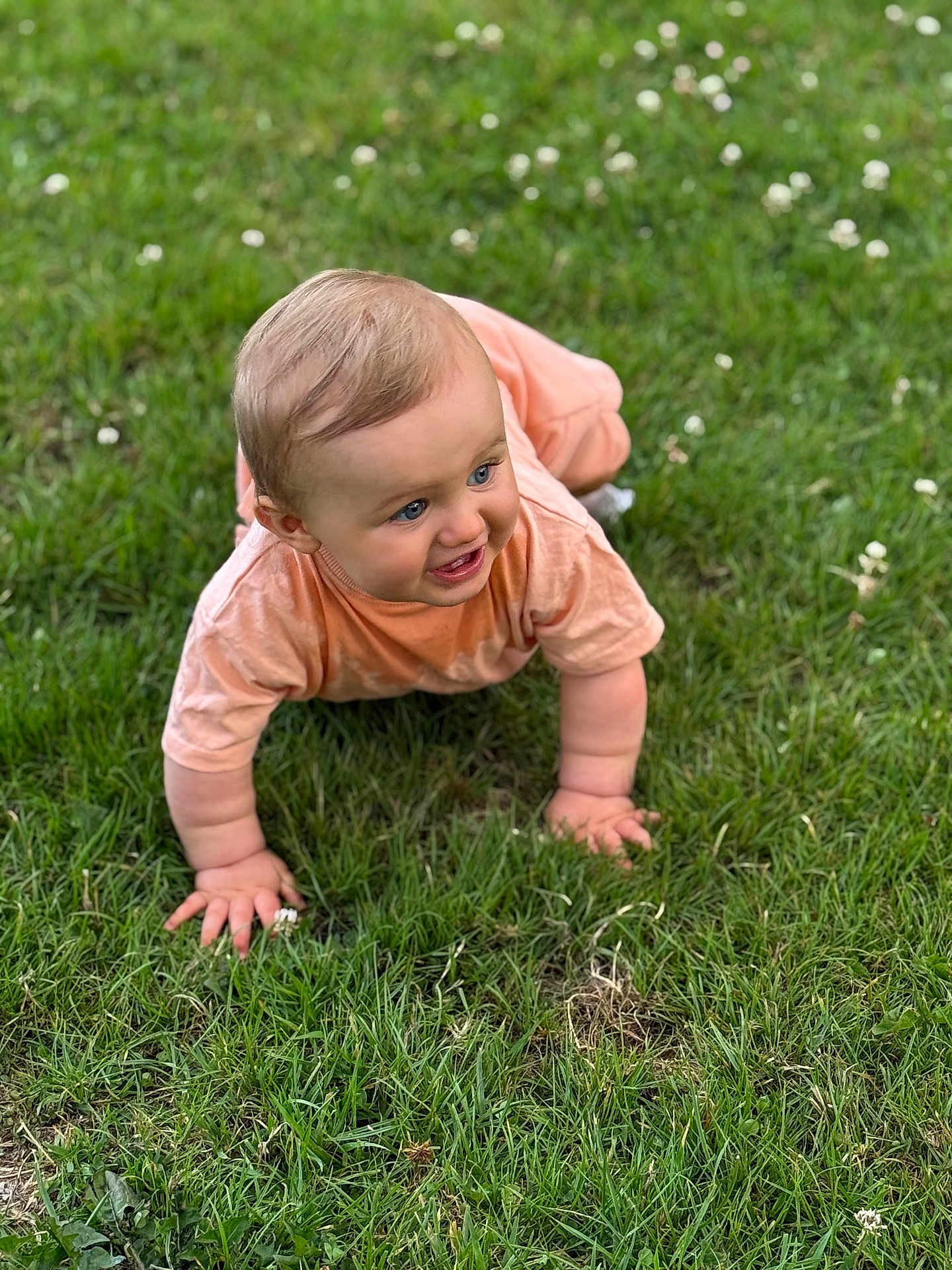 Fabio a rejoint le concours — aidez-le/la à gagner de superbes lots ! baby, child, grass, outdoor, crawling, greenery, nature, happy, cute, infant, blue_eyes, smiling, toddler, peach_outfit, small_flowers, sunlight, baby_hands, cheeks, young_child, playful