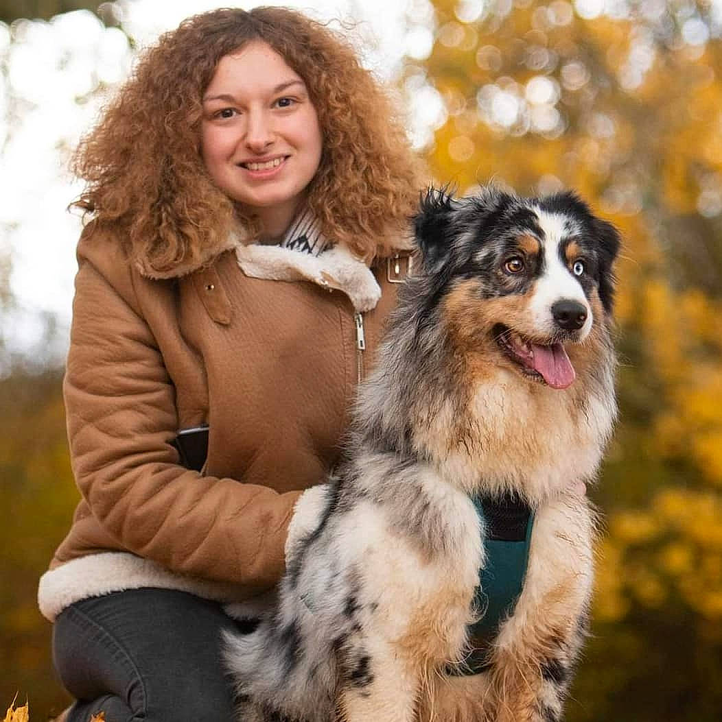 Roxy participe au concours pour gagner de l'argent avec cette photo : australian_shepherd, border_collie, brown_hair, canidae, carnivore, companion_dog, dog, dog_breed, flash_photography, fun, fur, happy, herding_dog, miniature_australian_shepherd, people_in_nature, sitting, smile, sporting_group, tree, winter