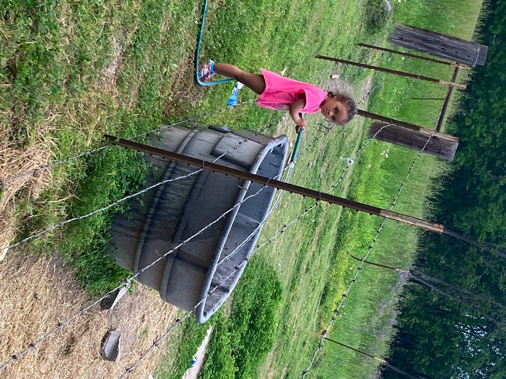 Macey is registered to the contest to win money with this photo: adventure, automotive_tire, fun, grass, grass_family, grassland, landscape, leisure, outdoor_play_equipment, people_in_nature, person, plant, public_utility, recreation, rope, slope, soil, tree, wire, wire_fencing